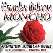 El Milagro Del Amor by Moncho