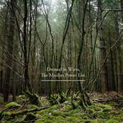 The Muslim Power List