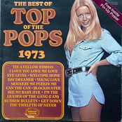 the best of top of the pops '73