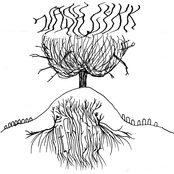 The Grave Tree