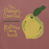 The Murder Capital: Return My Head