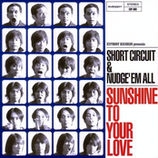 Sunshine To Your Love