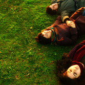 bir geyik bulusma bir geyik hucum kayit