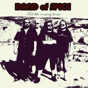 Beside Of Life by Band Of Spice