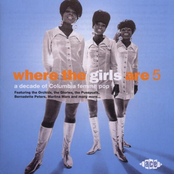 WHERE THE GIRLS ARE VOLUME 5