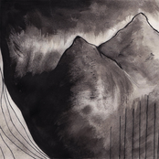 An Open Letter ​/ ​Sadness