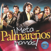 Meta Palmareños Nomás