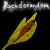 pseudorandom