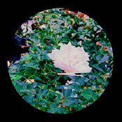 ⏄⏂  (black triangles)