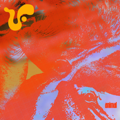 Virtue Furnace: Animal