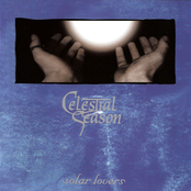 Soft Embalmer Of The Still Midnight by Celestial Season