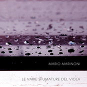 Le Varie Sfumature del Viola