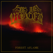 Forest Aflame