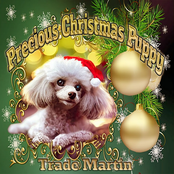 Precious Christmas Puppy