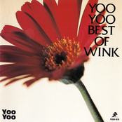 BEST OF WINK