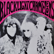 Blacklight Chameleons