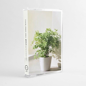 植物波 [ p l a n t w a v e ]