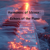 Harmonies of Silence: Echoes of the Piano