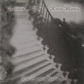 The Haunting Resonance (Split)