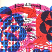 Nightflights To Venuses