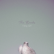 The Breaks - 5 Way Split