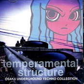 Temperamental Structure