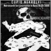 Abracadavre! [Cupio Nekrolvi]