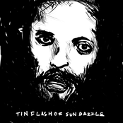 Tin Flash Of Sun Dazzle