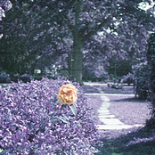 At the Bar Where You Literally Saved Me from Fatal Heartbreak - Live at Philamoca, Philadelphia, PA - 4/12/24