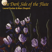 The Dark Side of the Flute