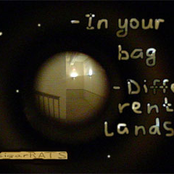 In Your Bag by Cigarrats