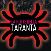 orchestra popolare la notte della taranta