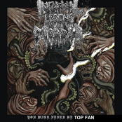 You Will Never Be Top Fan