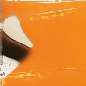 Lil Birdy Starts to Fly Again