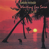 David Feder: Waiting For Sara