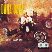 Record Jock by Dana Dane