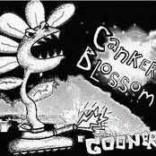 Canker Blossom: Gooner