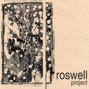 Roswell Project