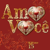 Amo Você Vol. 15