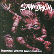 Internal Womb Cannibalism by Sanatorium