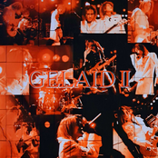 GELAID Ⅱ