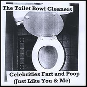 the toilet bowl cleaners