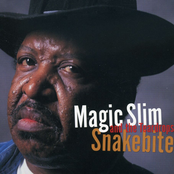 What's Wrong by Magic Slim And The Teardrops