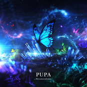 PUPA -Metamorphoses-