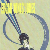 Soothing Music For Stray Cats by Edgar 'jones' Jones