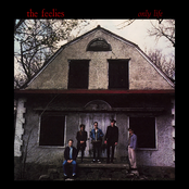 The Feelies: Only Life