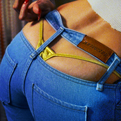 Jeans cover