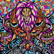 Mihali: Effection