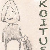 Koitus