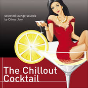 the chillout cocktail (selected lounge sounds)